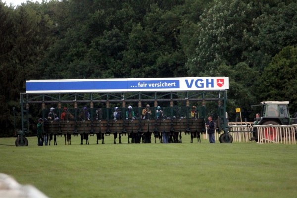 Bult VGH2011   069.jpg